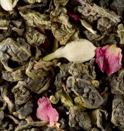 THE OOLONG DAMMANN – Jardin du Luxembourg